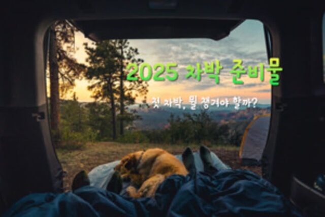 차박 준비물 2025ver. 감성 가득 성공적인 차박을 위한 체크 리스트 TOP 10