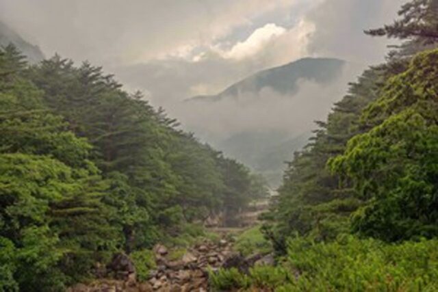 무릉계곡, 올여름 신선 놀음 하러 가기 좋은 동해 여행