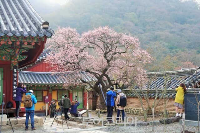장성 가볼만한 곳, 자연과 역사 어우러진 힐링 여행지