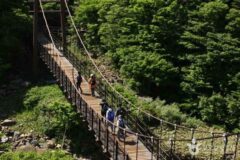 한라산국립공원, 사계절이 살아 숨 쉬는 제주 여행지