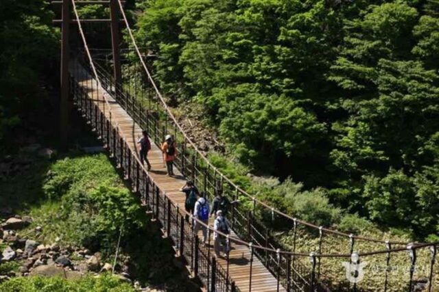 한라산국립공원, 사계절이 살아 숨 쉬는 제주 여행지