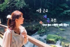 계곡 추천 TOP 5 여름 물놀이 하기 좋은 곳은 여기로!