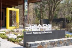 자연과 패션이 마주친 숲속 이야기, 더네이쳐홀딩스 ‘숲의 속삭임’ 전시로 피어나다