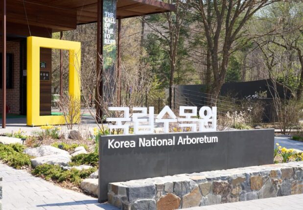 자연과 패션이 마주친 숲속 이야기, 더네이쳐홀딩스 ‘숲의 속삭임’ 전시로 피어나다