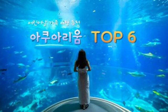 아쿠아리움 TOP 6 어린이날 가족 여행 추천