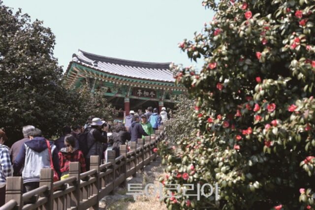 서천 여행지와 맛집 추천, 바다와 갯벌이 살아있는 충남 서해안
