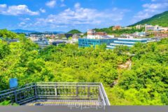 관악산 등산코스와 주변 명소, 서울 도심 속 자연 속으로