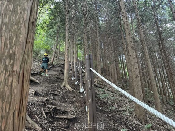 남양주시 관광과 먹거리 안내, 역사와 풍경이 함께하는 하루