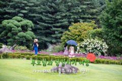 어버이날 서울 근교 부모님 모시고 갈만한 곳 4(+경기도 여행지 추천)