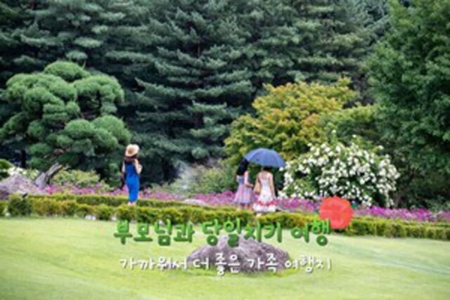 어버이날 서울 근교 부모님 모시고 갈만한 곳 4(+경기도 여행지 추천)