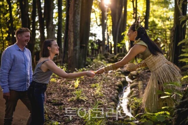 뉴질랜드 대자연 속으로, 남북섬 따라 떠나는 감성 여행