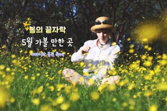 5월 가볼 만한 곳, 봄 축제와 함께하는 ‘마지막’ 봄 여행 4