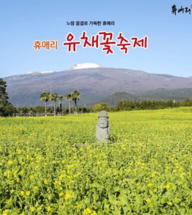 제주 서귀포 휴애리, 유채꽃과 동백으로 봄 정원 완성