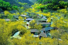 산림청, 침체된 산촌에 ‘활력’ 불어넣는다…소득 창출 모델 발굴 및 사업화 돕는다!