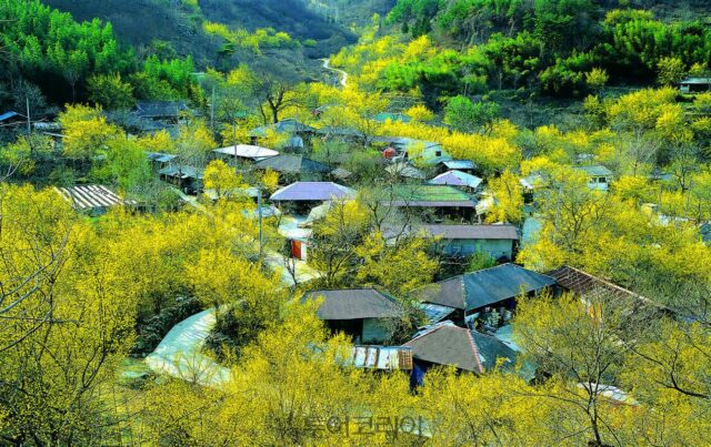 산림청, 침체된 산촌에 ‘활력’ 불어넣는다…소득 창출 모델 발굴 및 사업화 돕는다!