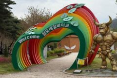 대구근교 가볼만한곳! 청도 레일바이크 연인과 로맨틱 데이트