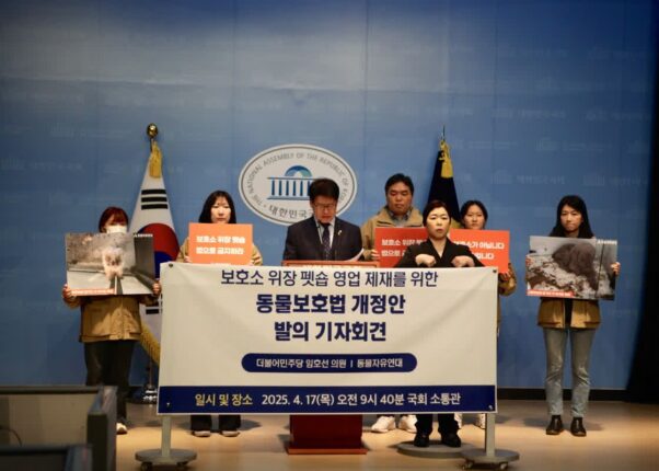 보호소 위장 펫숍 제재 위한 동물보호법 개정안 ‘신종펫숍 금지법’ 발의