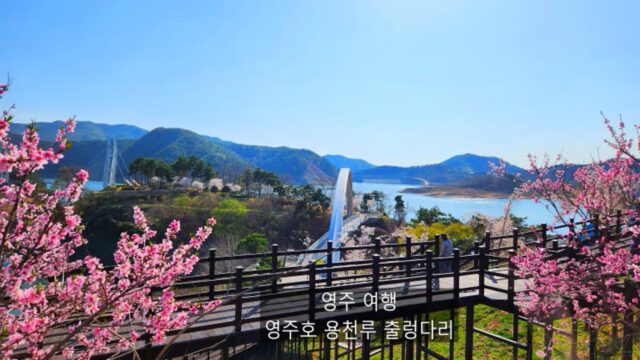 영주 가볼만한 곳 영주호 용마루공원::용천루 출렁다리 데이트 코스