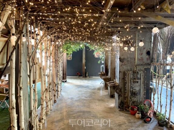 충주 가볼만한곳, 벚꽃길부터 동굴 체험까지