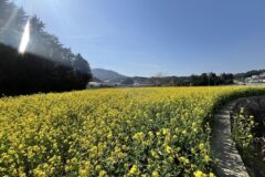 남해 맛집 추천, 양식부터 한식까지 지역별 인기 식당