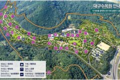 대구수목원 관람 꿀팁…활엽수원과 시간별 운영 안내