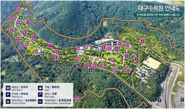 대구수목원 관람 꿀팁…활엽수원과 시간별 운영 안내