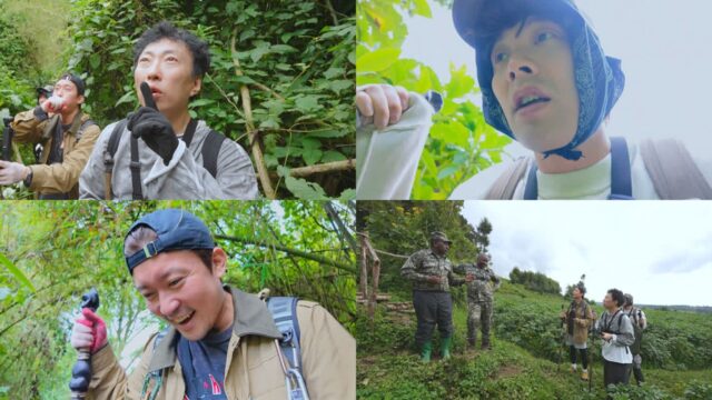 ‘위대한 가이드2’, 르완다 밀림서 고릴라 투어 도전기 공개