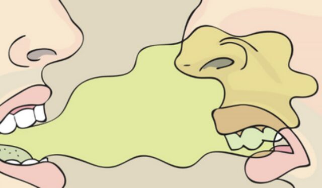 침냄새 원인 구취 입냄새 날때 4가지 심하게 나는 경우 관리 방법 등에 대해