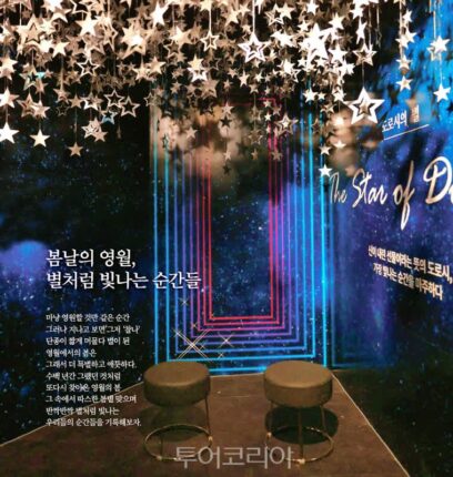 봄날의 영월, 별처럼 빛나는 순간들