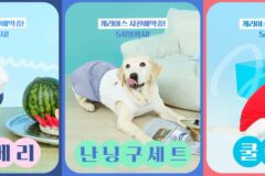 댕댕이 가족 주목! BYC ‘개리야스’ 쿨웨어 사전예약 개시!
