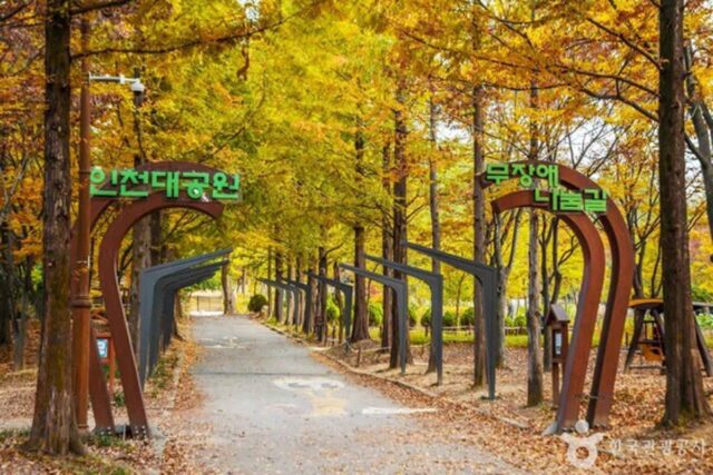 인천대공원 자전거 타고 도는 사계절 자연 여행