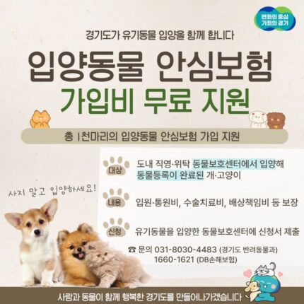경기도, 유기 동물 입양하면 펫보험 가입 지원