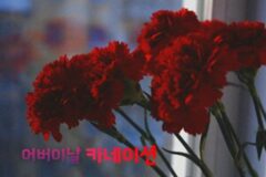 어버이날 카네이션 고르는 방법, 센스 만점 선택 가이드 2025 ver.(+카네이션 꽃말)