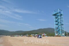 인천 나들이 어디가 좋을까? 동물원부터 야경 명소까지