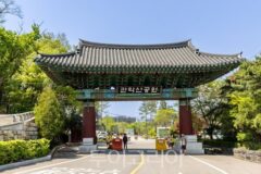 도심 속 힐링 명소, 관악산 산행 매력