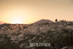 “자연의 신비”… 제주 용눈이오름 몽환적 풍경