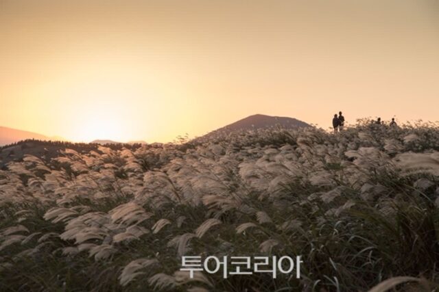 “자연의 신비”… 제주 용눈이오름 몽환적 풍경