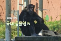 동물원 추천 6 어린이날, 손잡고 동물원 놀러갈까?