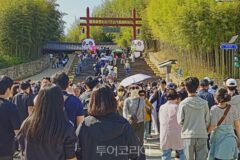 [담양대나무축제] 연일 관광객 북적