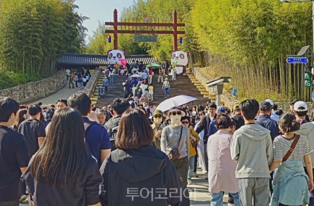 [담양대나무축제] 연일 관광객 북적