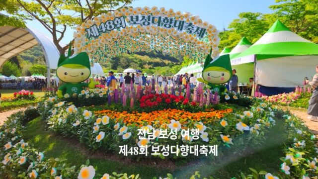 [전남 축제] 보성 녹차 축제 녹차 마시고 녹차 족욕 무료 체험 다향 대축제 기본 정보