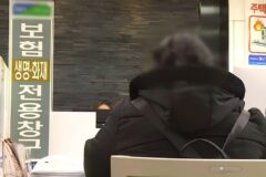 “보험료 2배 올랐는데 갈아타야 하나요”… 정부의 결단에 4천만 가입자들 ‘술렁’