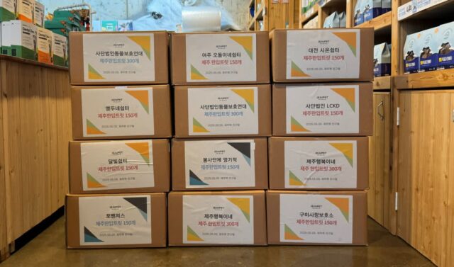 제주펫, ‘개린이날’ 기념 전국 보호소 10곳에 반려견 간식 1,800개 후원