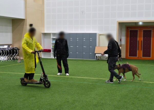 경기도, “맹견 보호자는 맹견사육허가 받으세요”