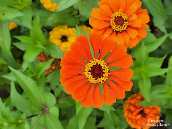 4월 덧글 이벤트 발표… 감사합니다.