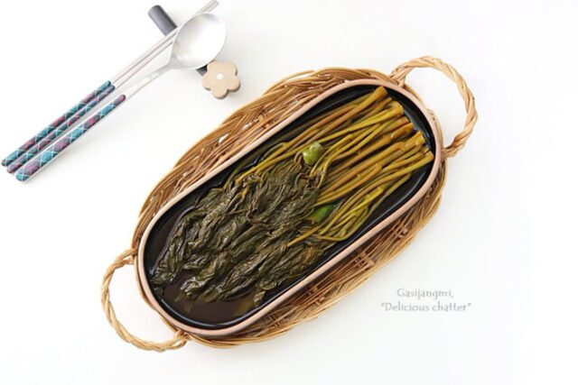 엄나무순 장아찌 레시피 개두릅장아찌 제철 장아찌 반찬 집밥요리