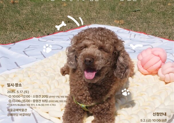 ‘댕댕이와 봄날의 공예 소풍 즐겨요’ 서울공예박물관, 오는 17일 펫크닉 개최
