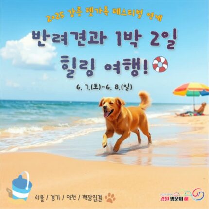 ‘반려견과 강릉서 1박 2일 힐링 여행!’ 강원관광재단, 체류형 펫상품 본격 운영