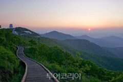 영천가볼만한곳, 전통과 체험이 어우러진 공간