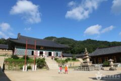 경남가볼만한곳, 바다와 산이 품은 다채로운 여행지